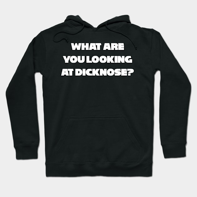 What are you looking at? Hoodie by Salty Nerd Podcast